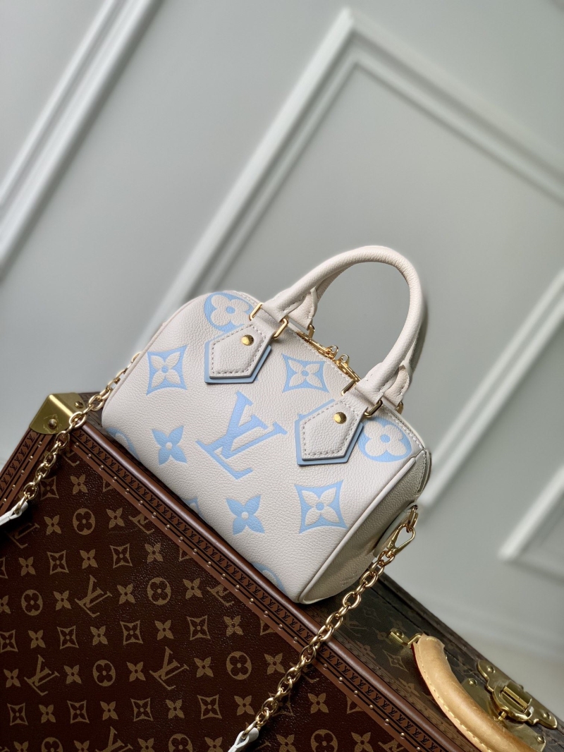LV Travel Bags